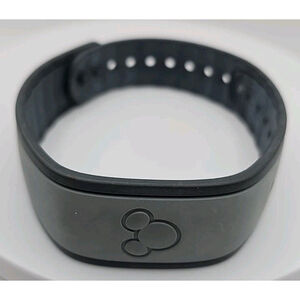 Walt Disney World Park Admission Bracelet Ride ID Band Gray (Expired)